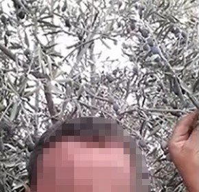 zihinsel-engelli-genc-kiza-cinsel-saldiridan-yargilanan-saniktan-uyuyordum-savunmasi