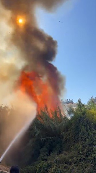 alanyada-calilik-alanda-cikan-yanginda-2-sera-ve-2-donum-arazi-zarar-gordu