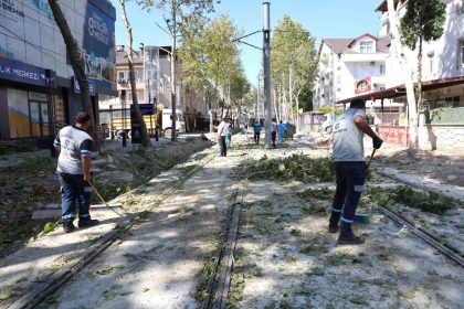 alikahya-tramvay-hattinda-agaclar-budaniyor