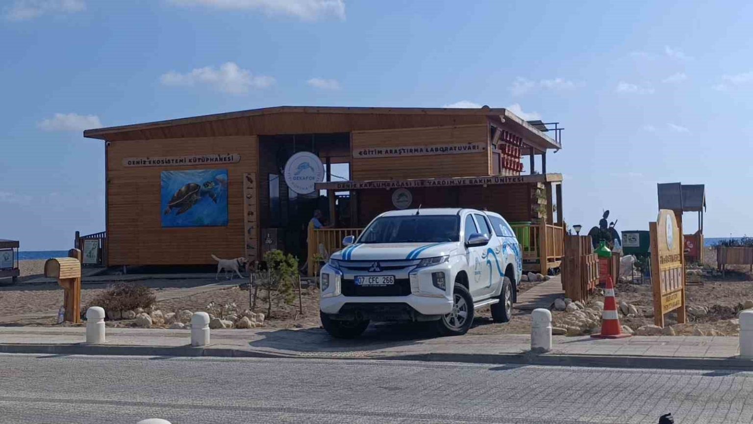 antalyada-deniz-kaplumbagasi-ambulansi-goreve-basladi
