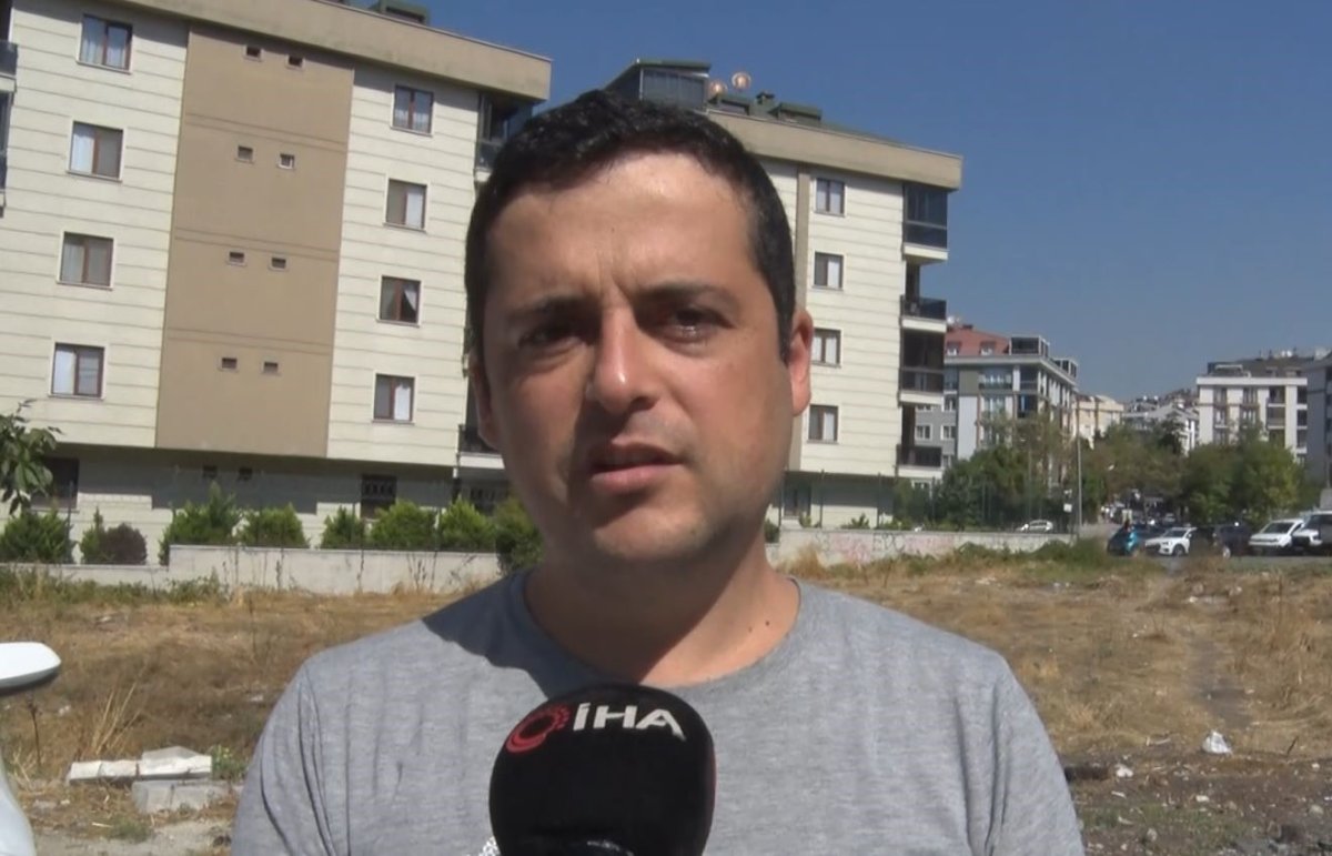 beylikduzunde-yasanan-kopek-dehsetini-komsular-anlatti