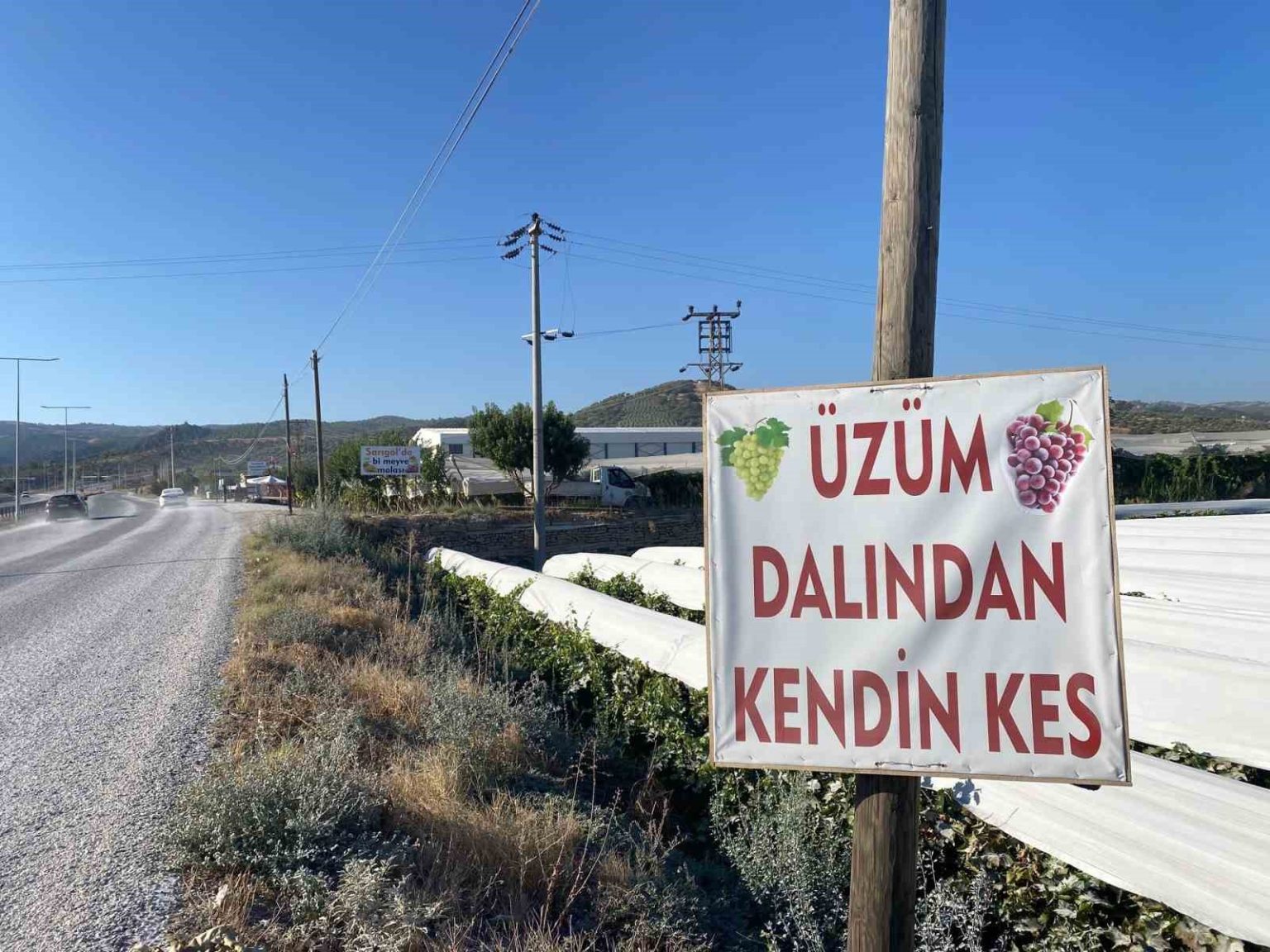 dalindan-satisla-ekonomiye-katki