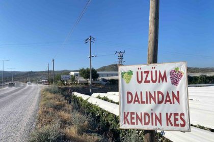 dalindan-satisla-ekonomiye-katki
