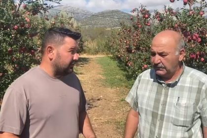 ispartada-bir-gecede-4-bin-200-ton-elma-doluya-teslim-oldu-zarar-170-milyon-tl