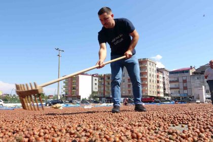 kamyonetini-1-ton-findik-karsiliginda-satti