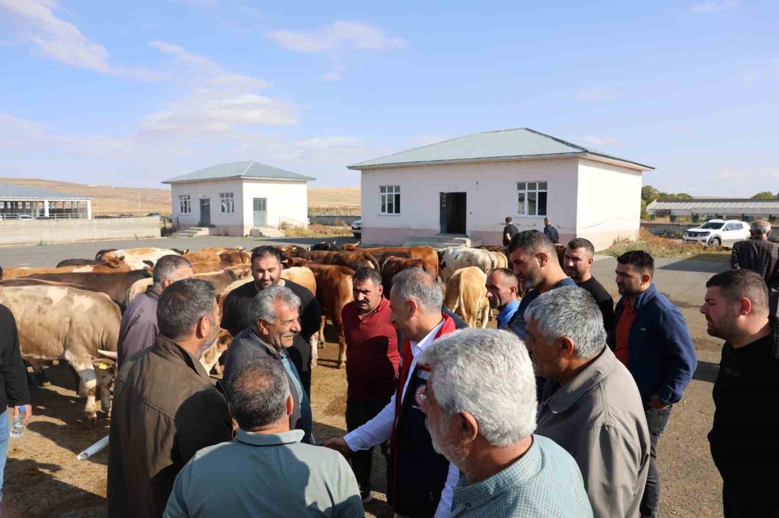 kars-hayvan-pazari-acildi