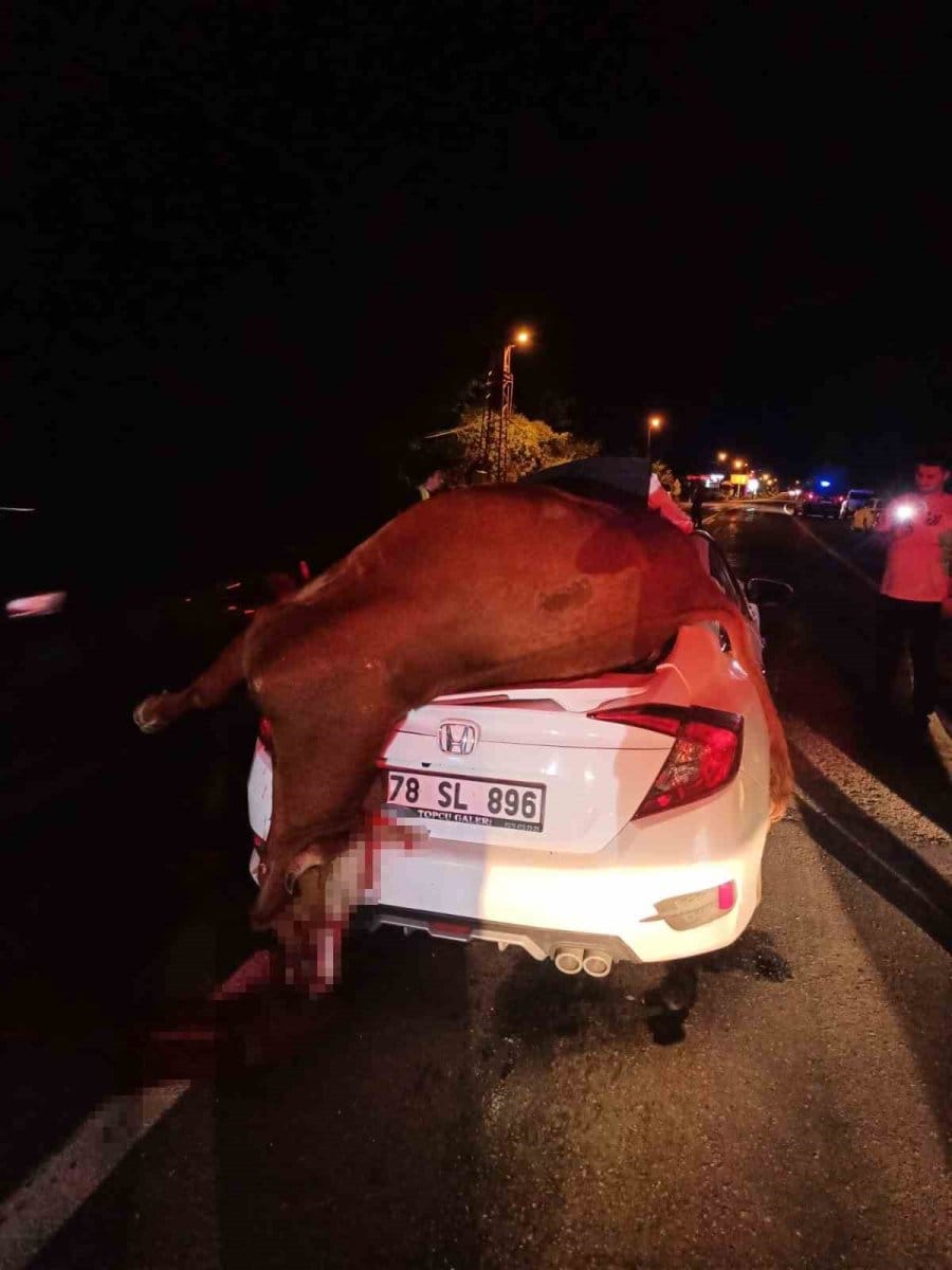 otomobilin-carptigi-inek-telef-oldu