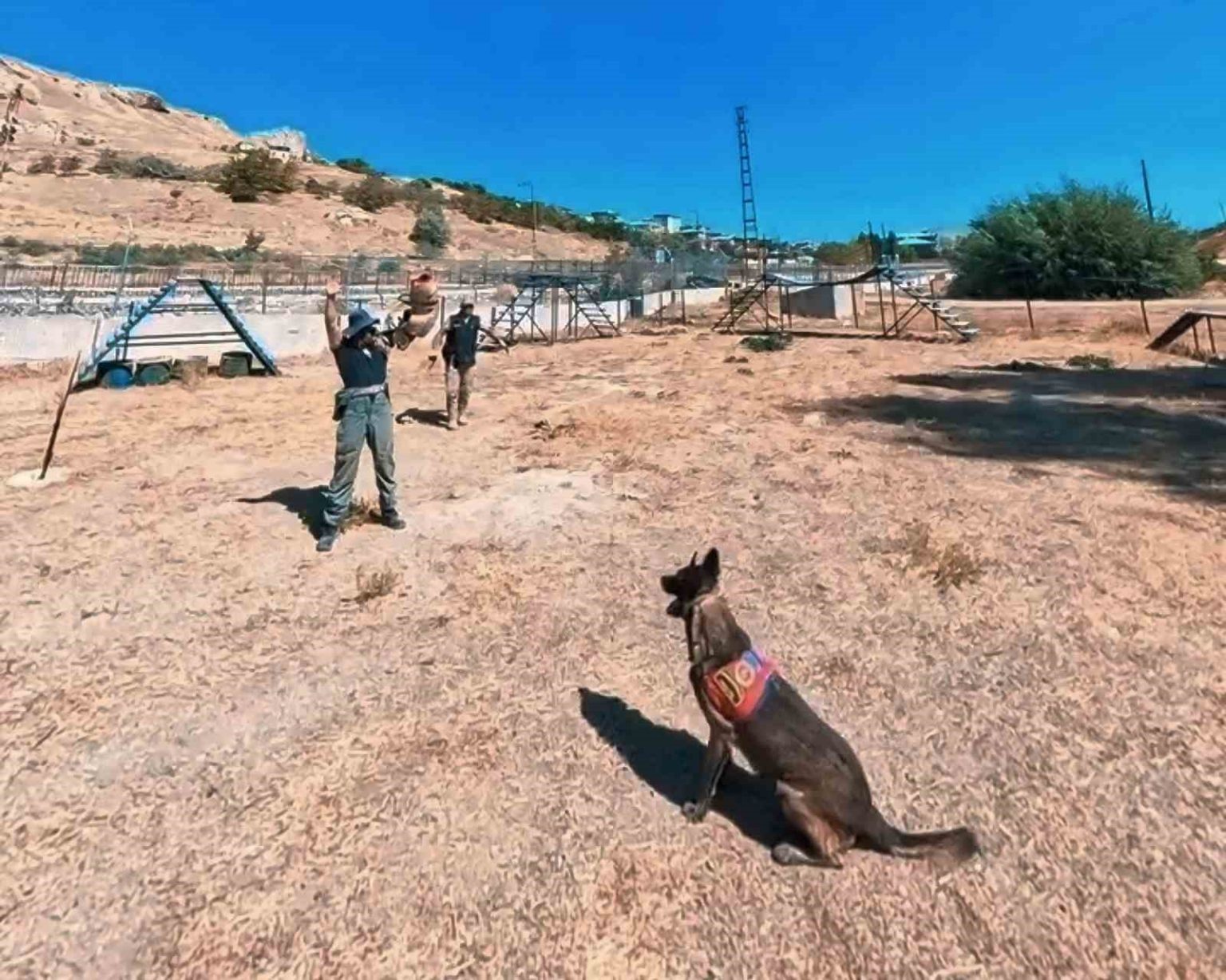 van-jandarmanin-hassas-burunlu-can-dostlari-parkurda-ter-dokuyor