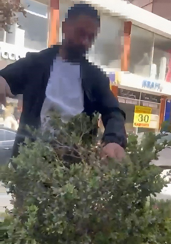 vanda-refujdeki-cicek-ve-fidanlara-zarar-veren-sahis-sucustu-yakalandi