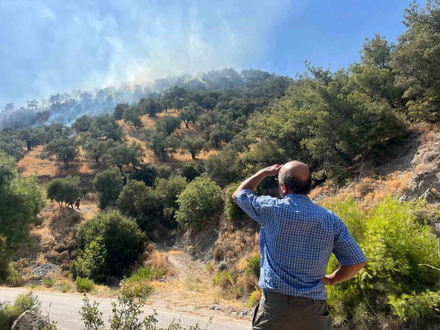 aydinda-zirai-alan-yangini-30-donum-alan-zarar-gordu