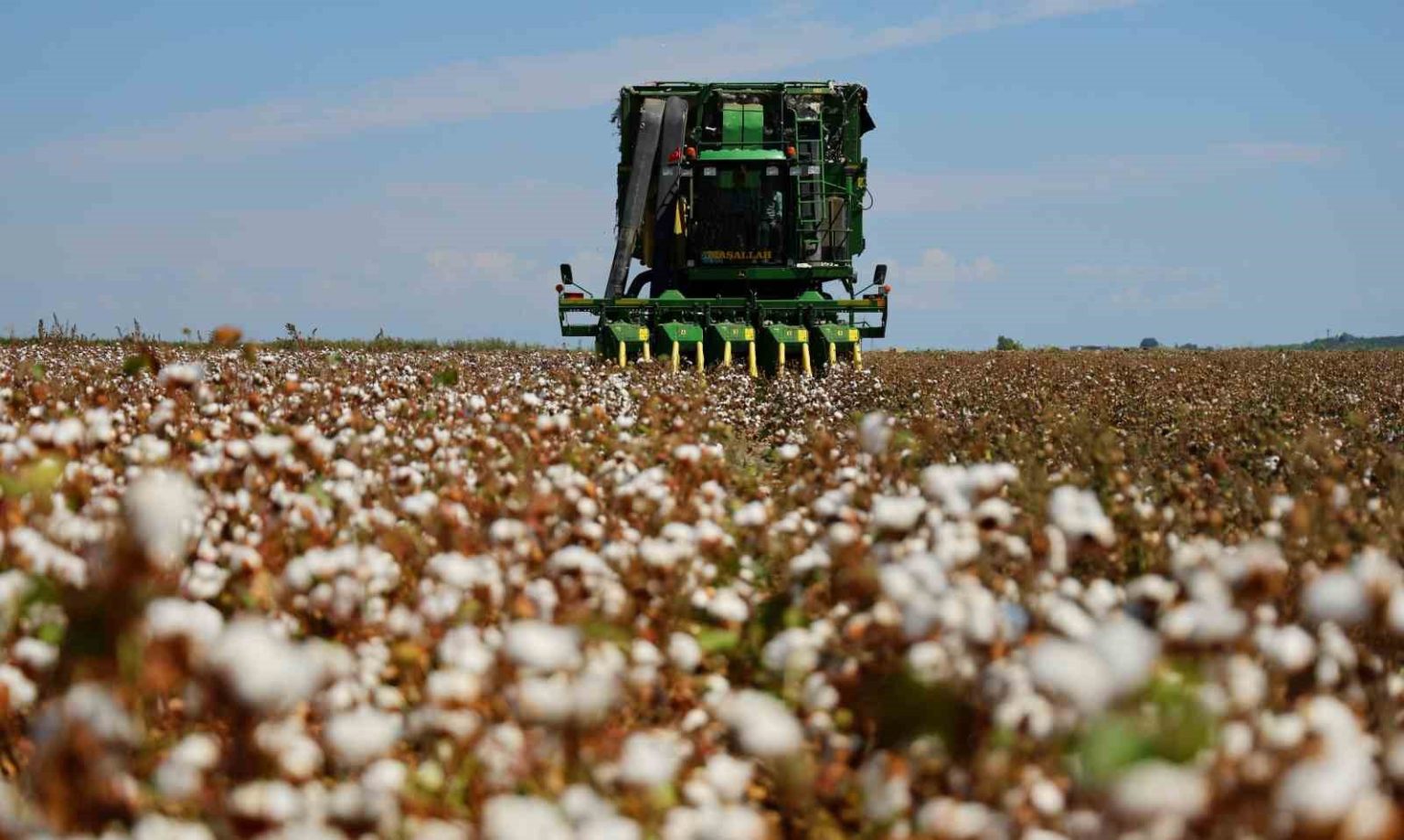 bir-donemin-beyaz-altini-pamukta-hasat-basladi