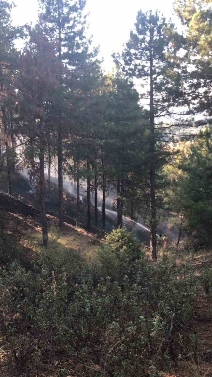 buldandaki-orman-yangini-kontrol-altina-alindi