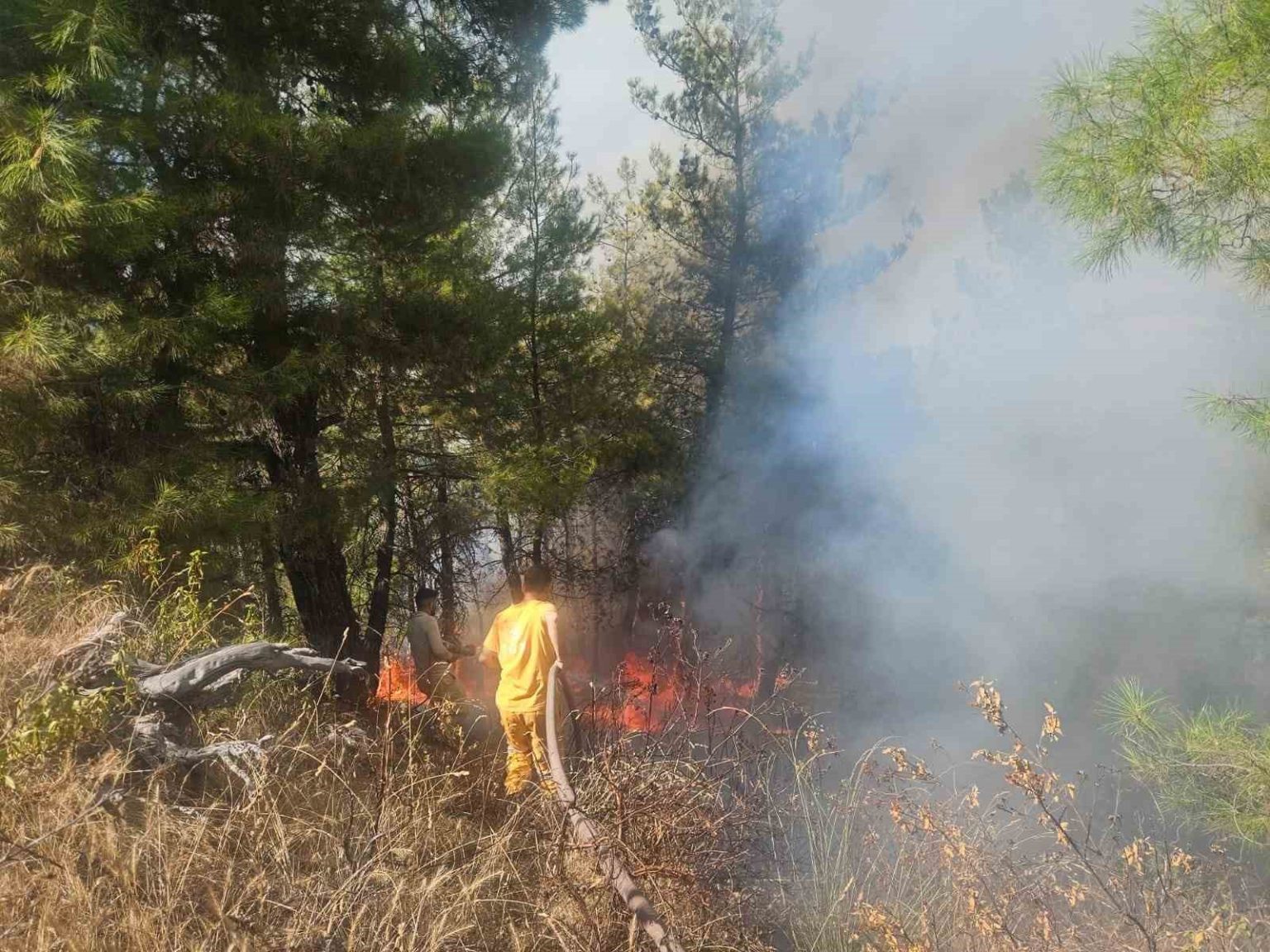 buldandaki-orman-yanginina-havadan-mudahale-basladi