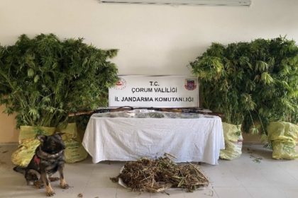 corumda-jandarmadan-uyusturucu-tacirlerine-operasyon-2-tutuklama