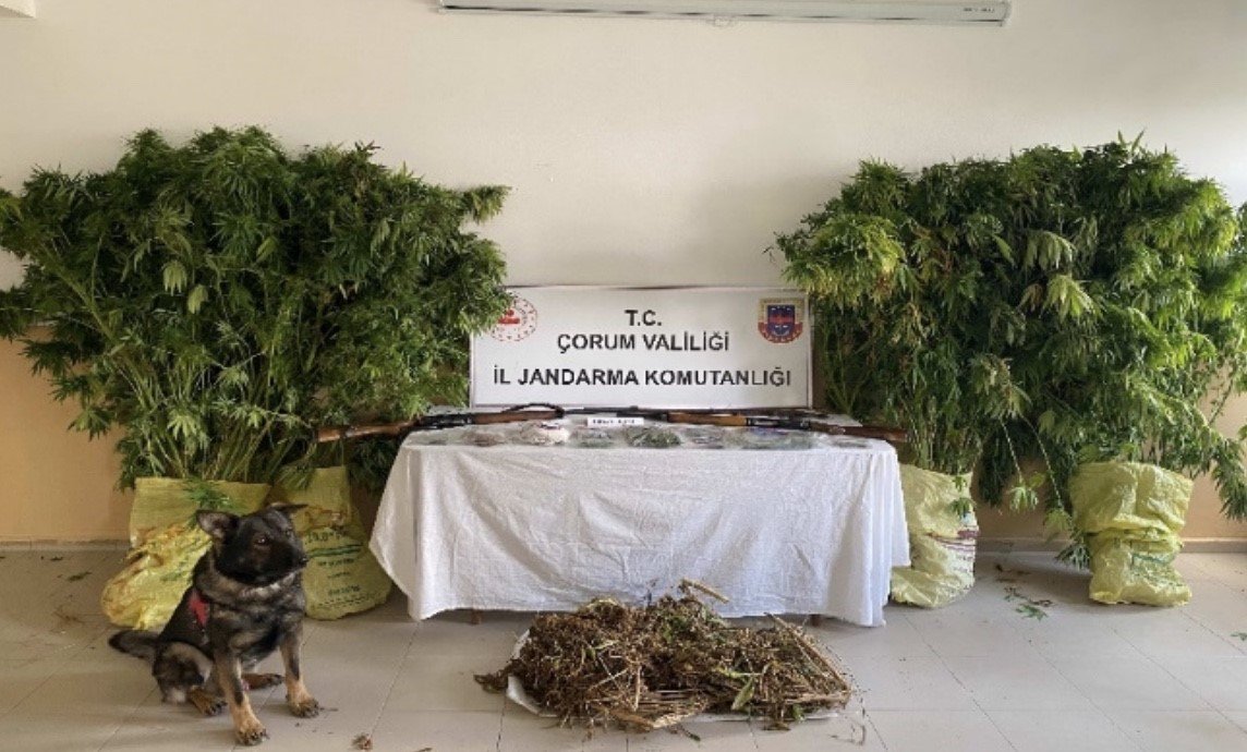 corumda-jandarmadan-uyusturucu-tacirlerine-operasyon-2-tutuklama