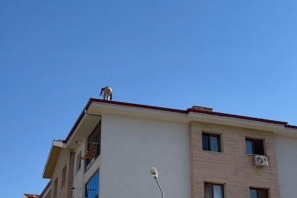 elazigda-catida-tehlikeli-calisma