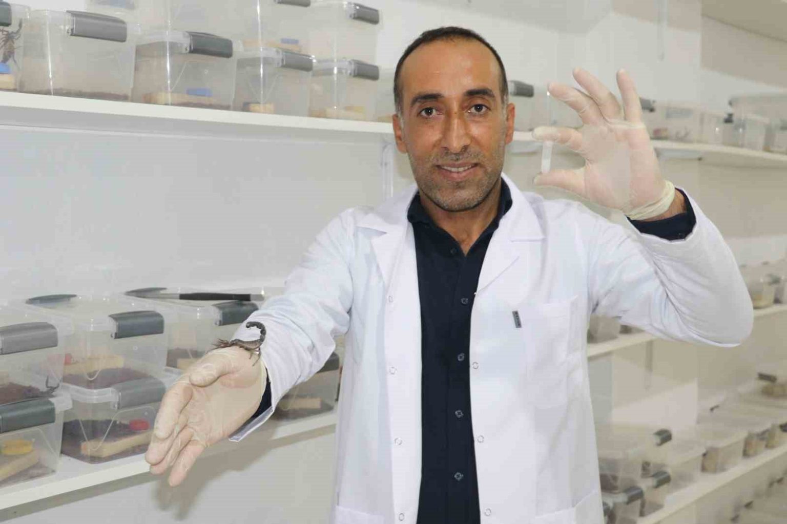 insaatciliktan-akrep-zehri-uretimine-gecti-gramindan-on-binlerce-dolar-kazanacak