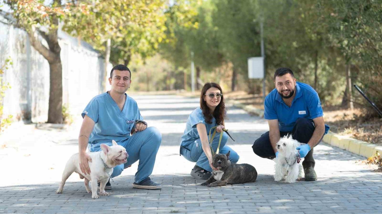 izmirde-el-konulan-20-cins-kopek-isikkent-kopek-bakimevinde