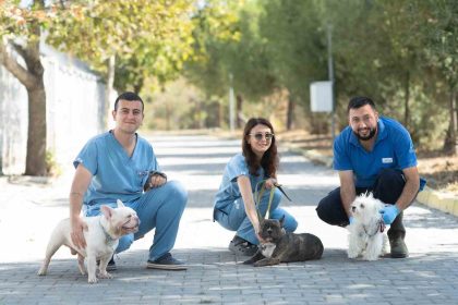 izmirde-el-konulan-20-cins-kopek-isikkent-kopek-bakimevinde