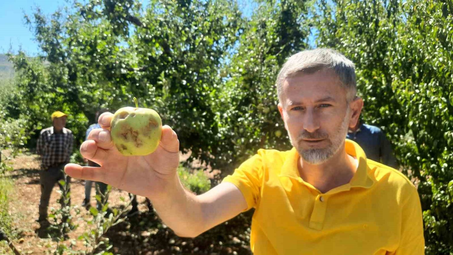 konyada-dolu-etkili-oldu-bahceler-buyuk-zarar-gordu