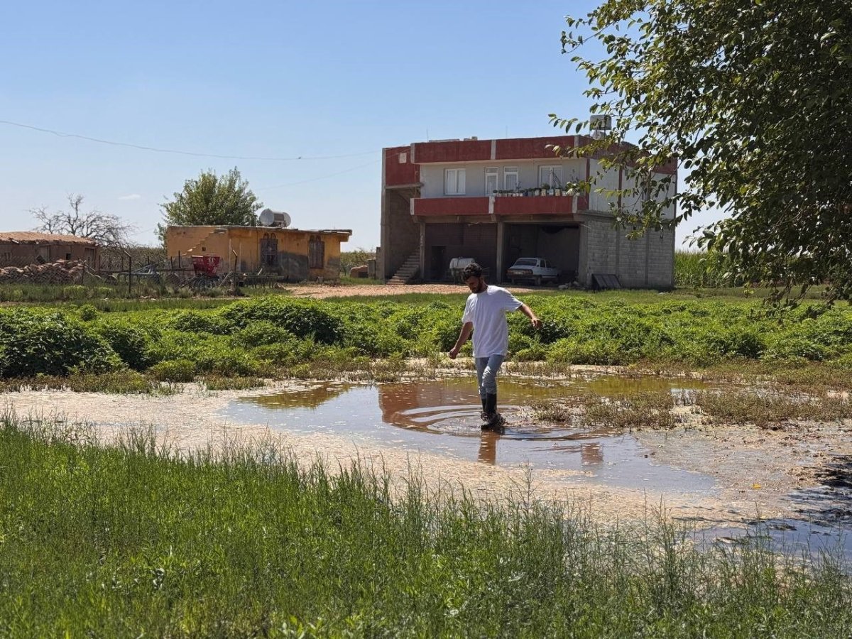 sanliurfada-yukselen-taban-suyu-ev-ve-tarlalari-yuttu
