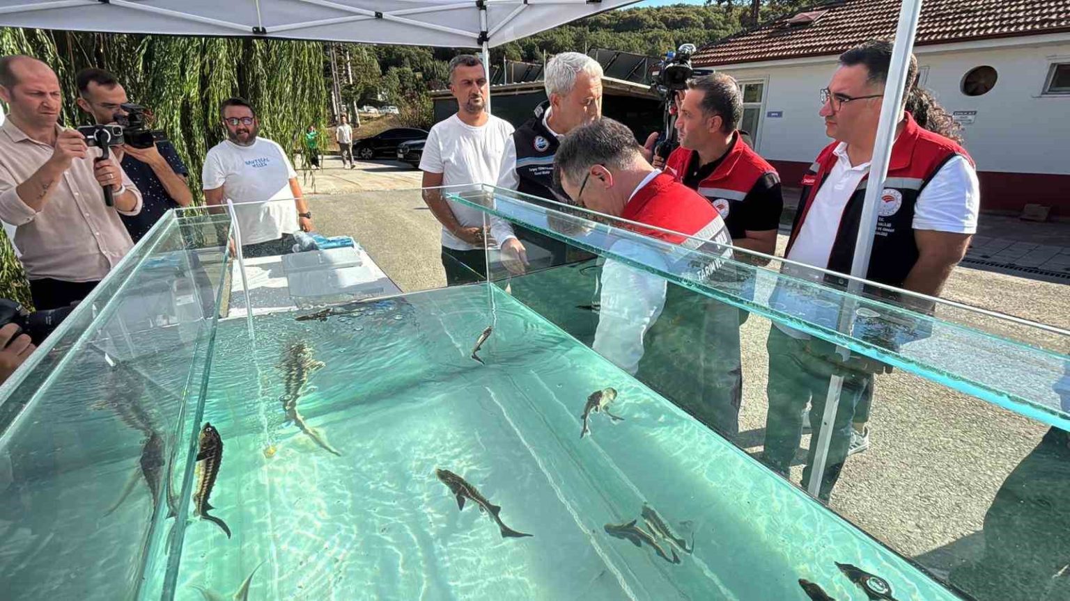 turkiyeden-dunya-sofralarina-siyah-havyar-grami-1-eurodan-satiliyor