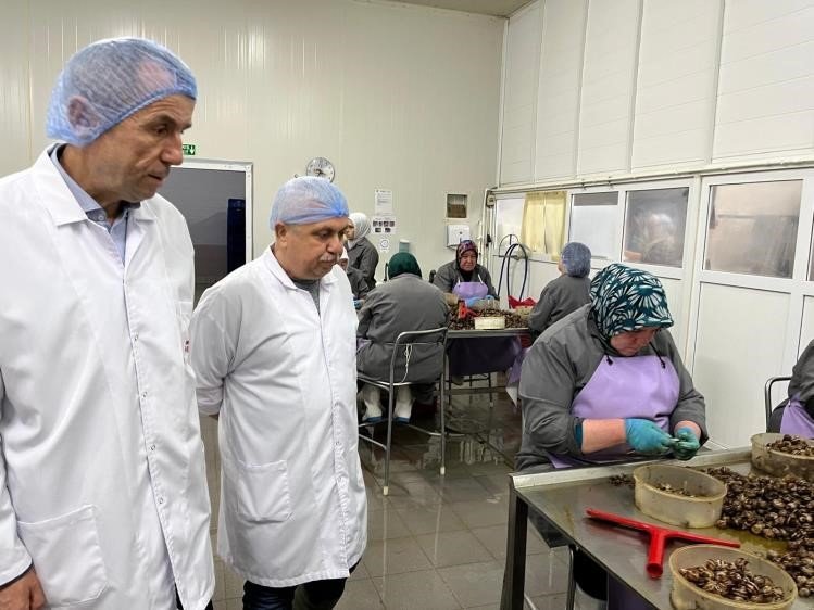 bilecikte-kirsal-kalkinma-yatirimlarina-destek-suruyor