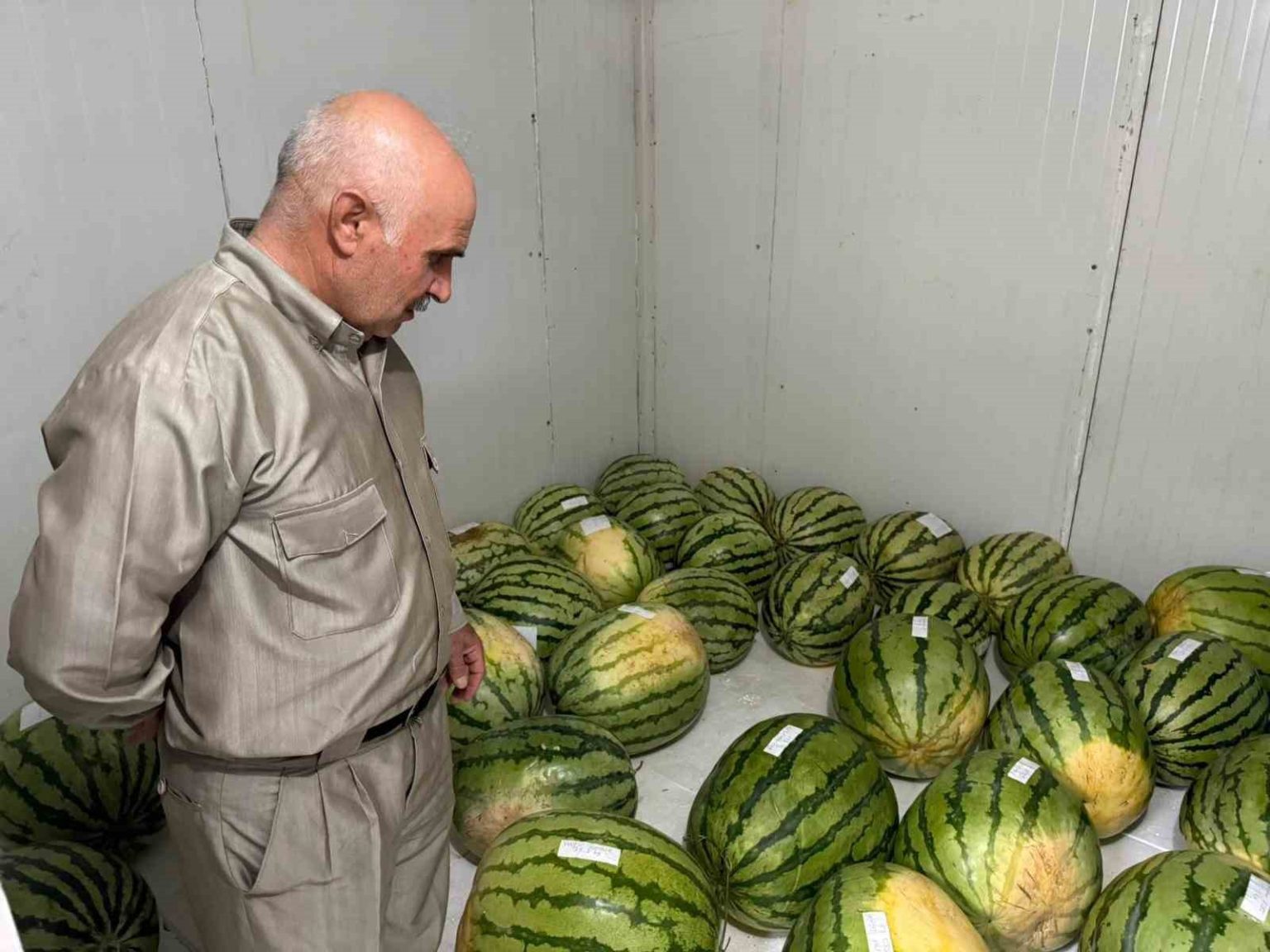 diyarbakirda-karpuz-yarismasina-sayili-gunler-kaldi