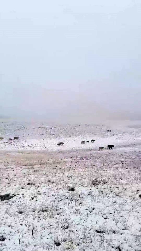 erzuruma-mevsimin-ilk-kari-yagdi