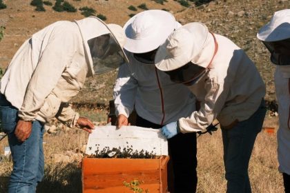 erzurumda-bal-uretimi-sektore-deger-katiyor