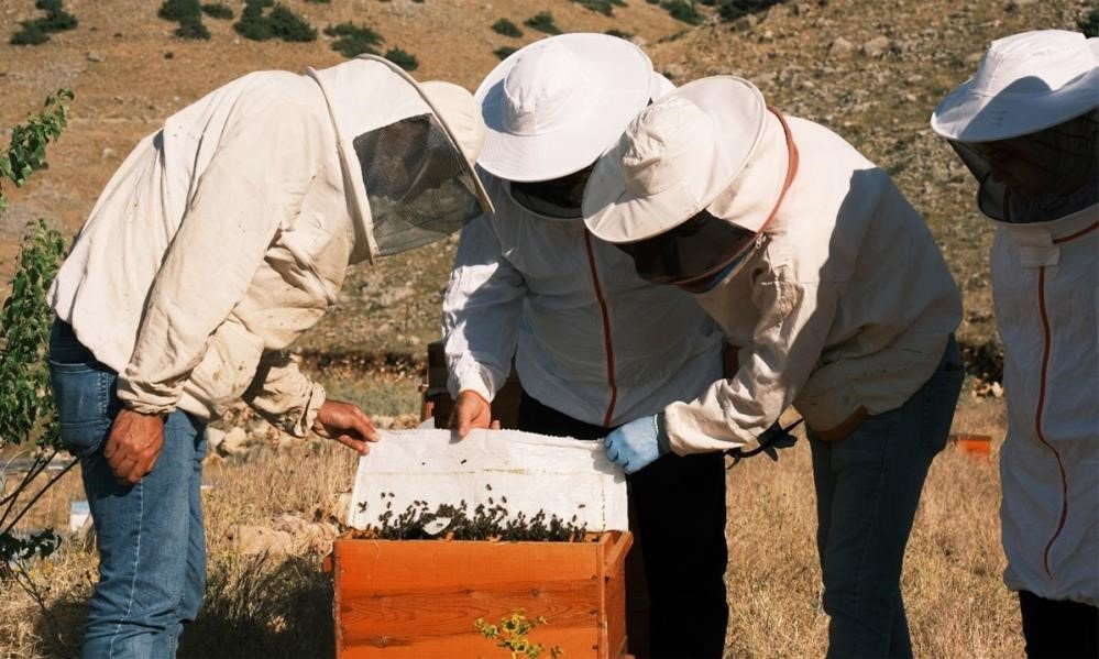 erzurumda-bal-uretimi-sektore-deger-katiyor