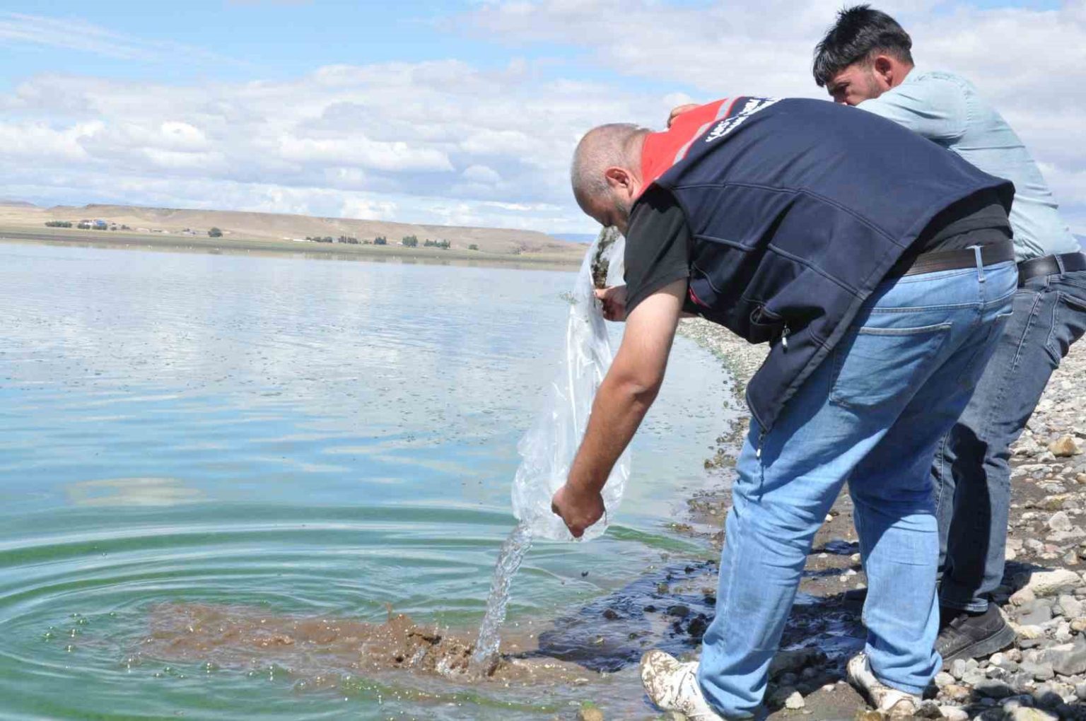 kars-gollerine-binlerce-sazan-yavrusu-birakildi