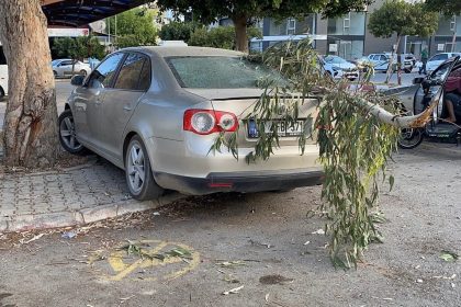 kirilan-agac-dali-otomobile-zarar-verdi