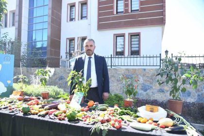 pursaklar-belediyesi-ata-tohumlarindan-elde-ettigi-sebzelerin-hasadini-yapti