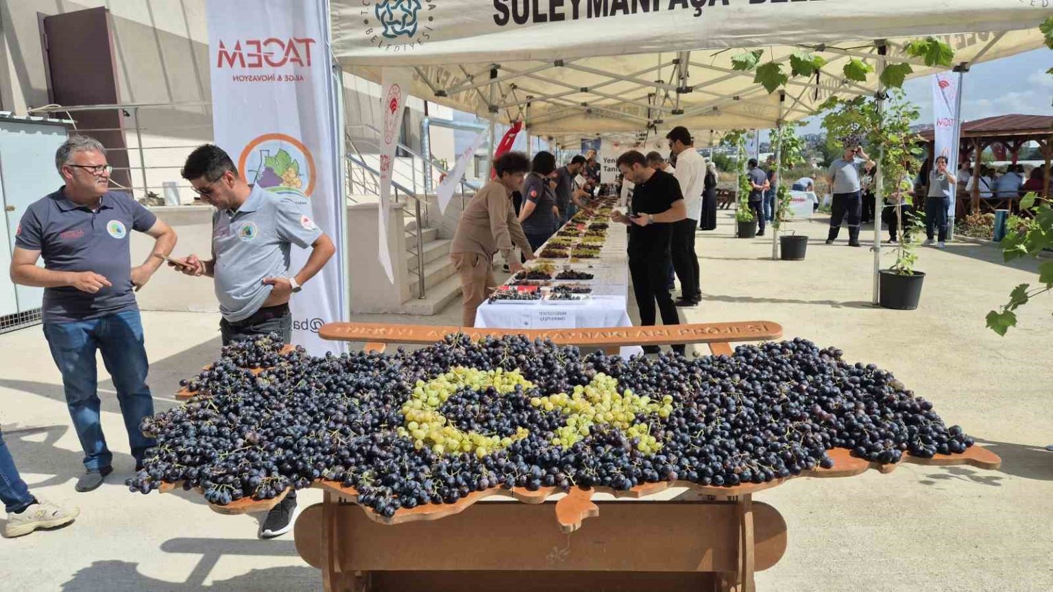 tekirdagda-uzum-soleni-onlarca-yeni-cesit-tanitildi