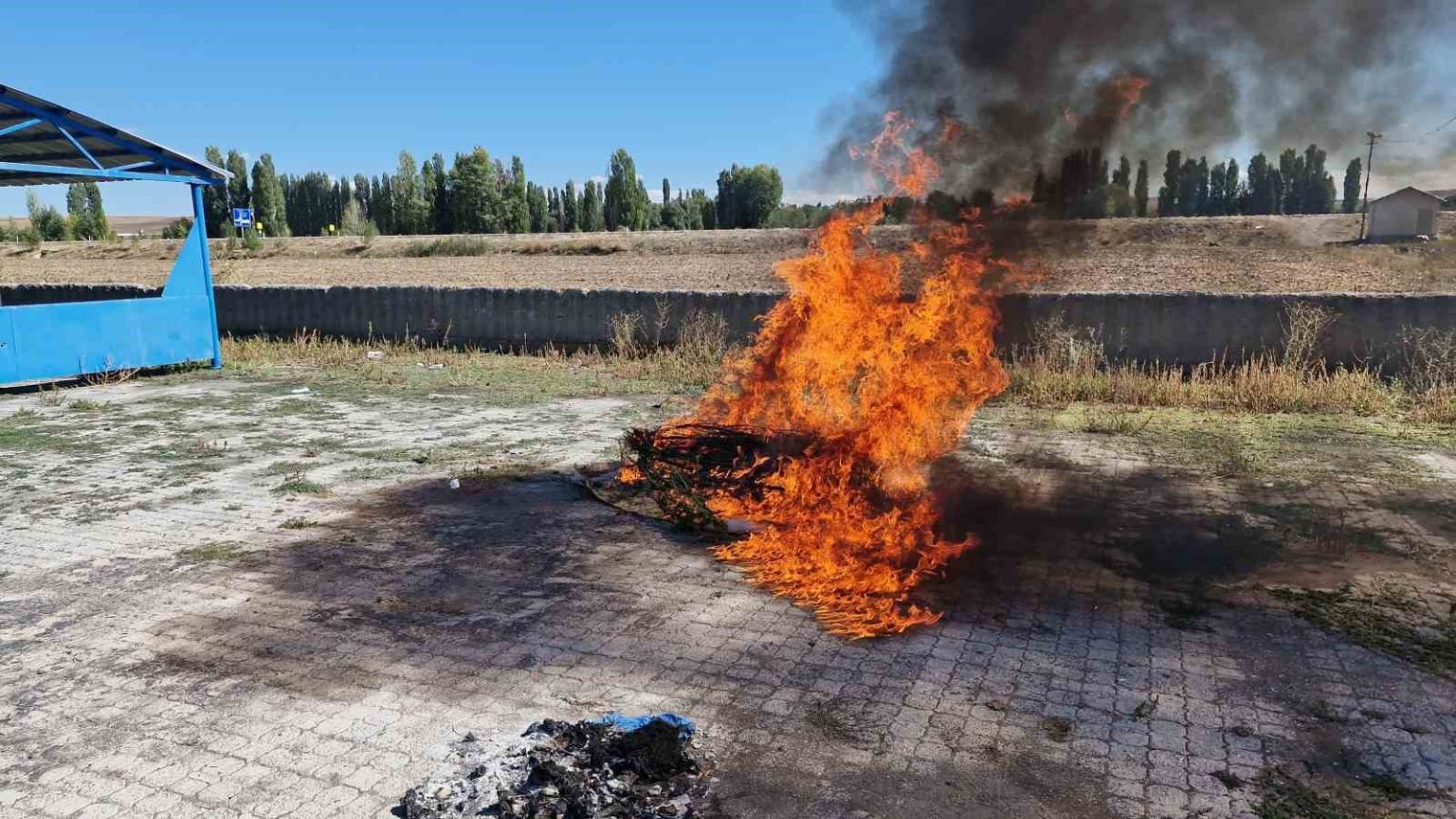 alacada-ele-gecirilen-21-kok-kenevir-imha-edildi