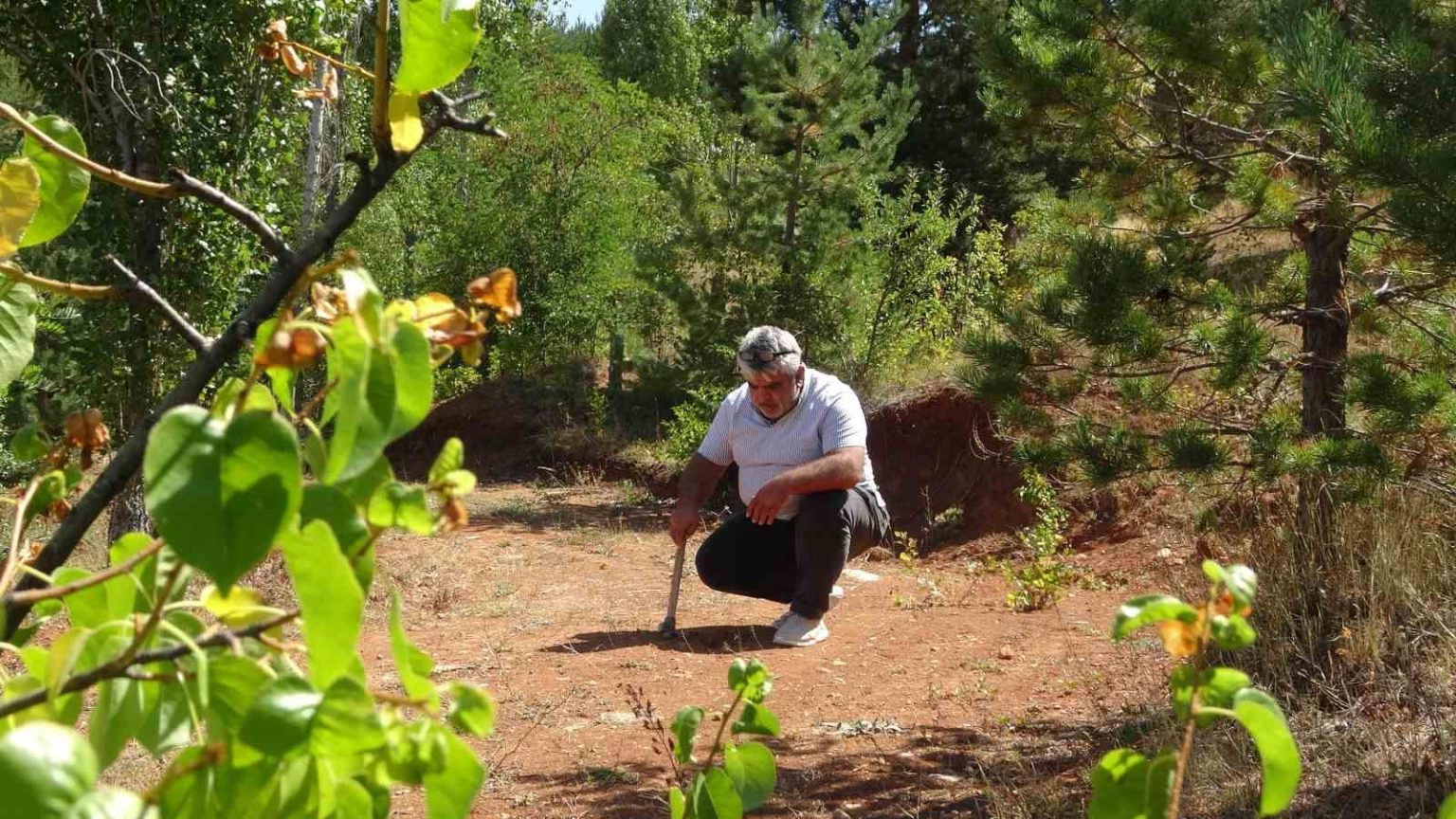 bayburtta-kehribarin-zorlu-mesaisi-topraktan-cikarilan-fosillesmis-agac-recinesi-taki-ve-tespihe-donusturuluyor