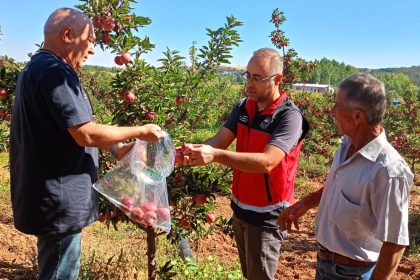 beysehirde-hasat-oncesi-pestisit-denetimleri