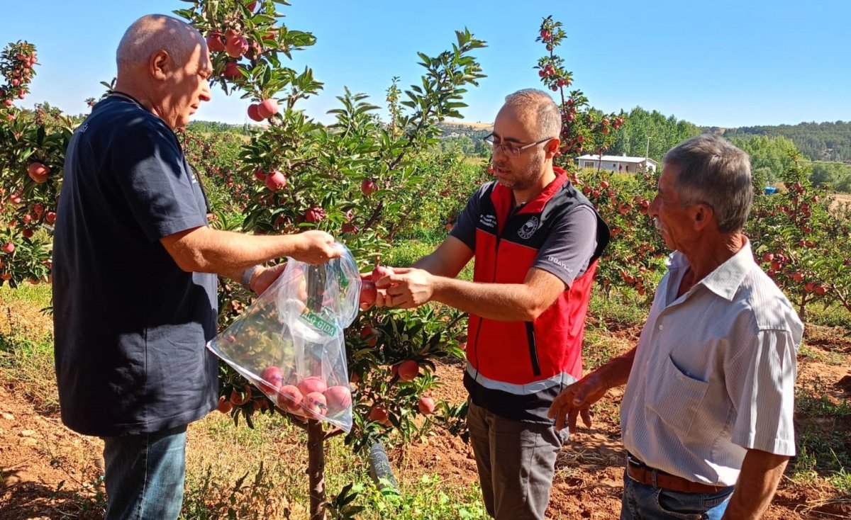 beysehirde-hasat-oncesi-pestisit-denetimleri