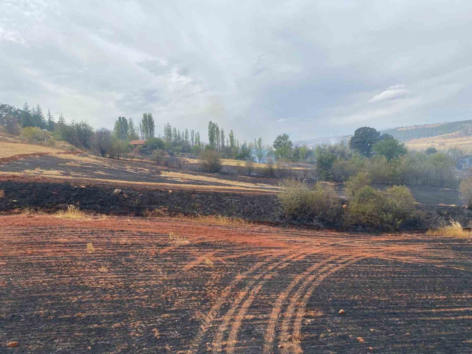 corumda-arazi-yangini-50-donum-tarla-ve-15-donum-agaclik-alan-zarar-gordu