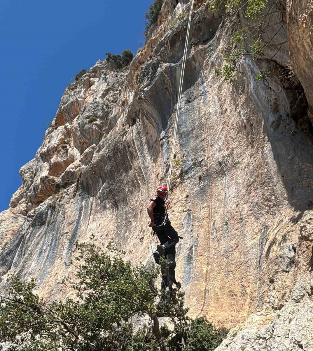 ucurumda-mahsur-kalan-keci-itfaiye-ekiplerince-kurtarildi