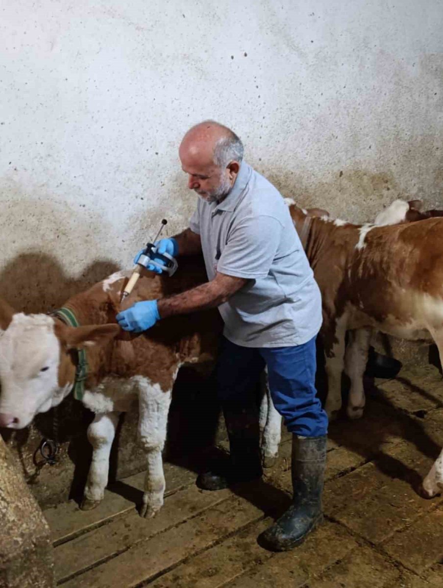 aydintepede-sonbahar-sap-asilama-kampanyasinda-sona-gelindi