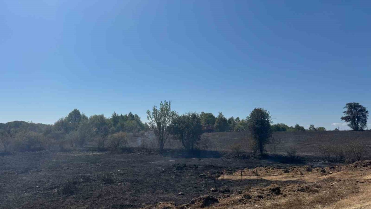 bilecikte-yasanan-aniz-yangininda-2-hektar-alan-kul-oldu