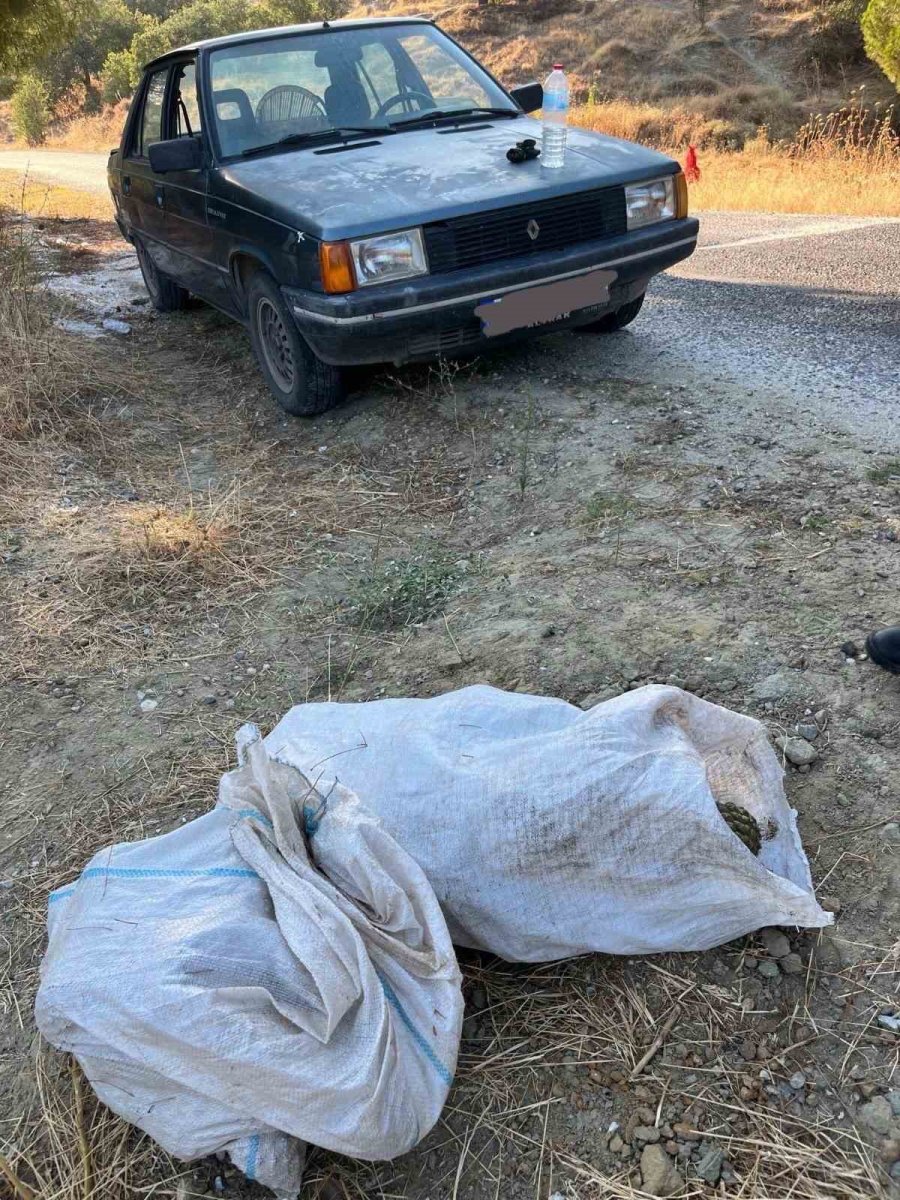 cam-fistigi-hirsizlari-jandarmaya-yakalandi