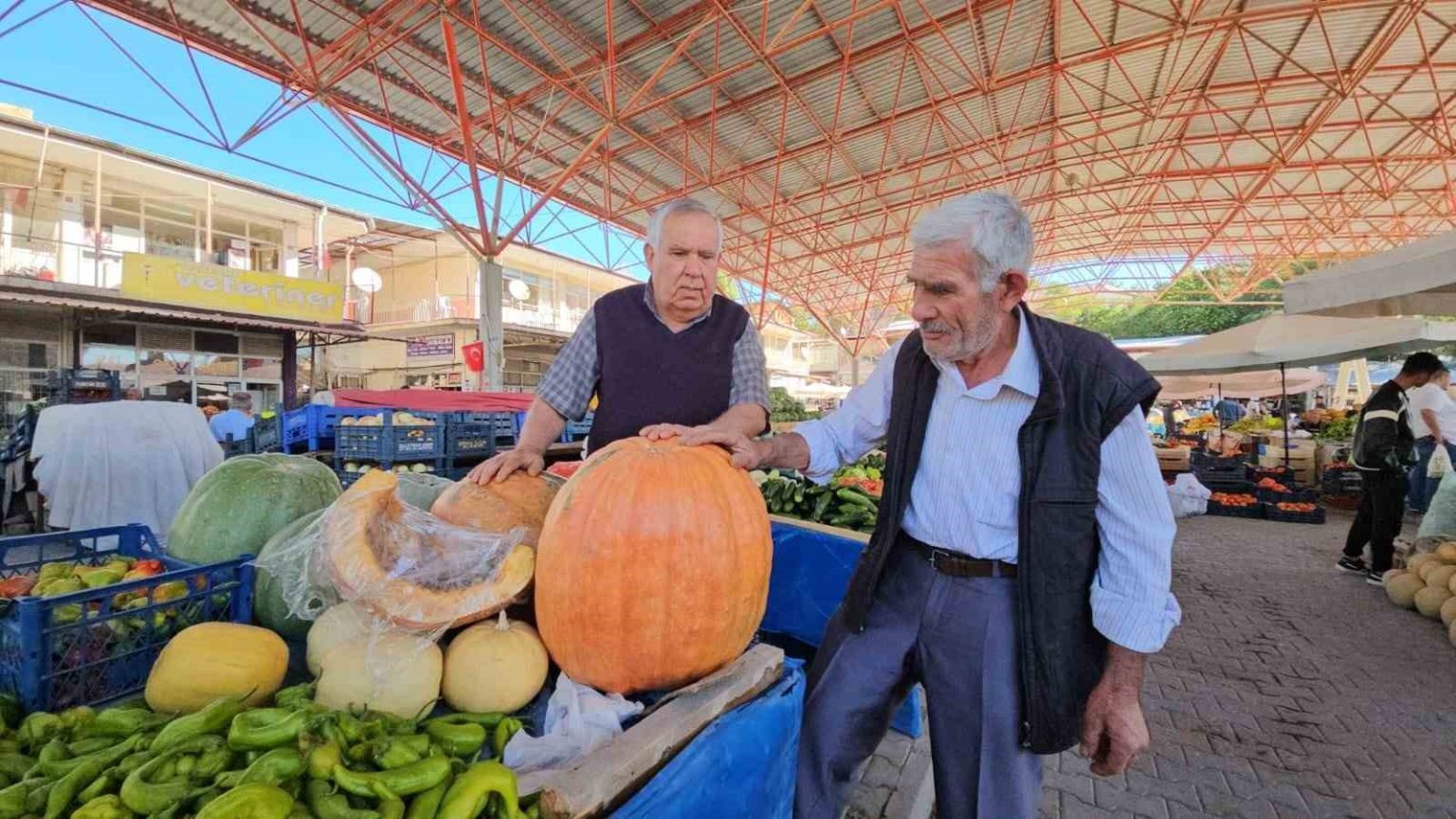 darendenin-meshur-bal-kabagi-ureticinin-yuzunu-gulduruyor