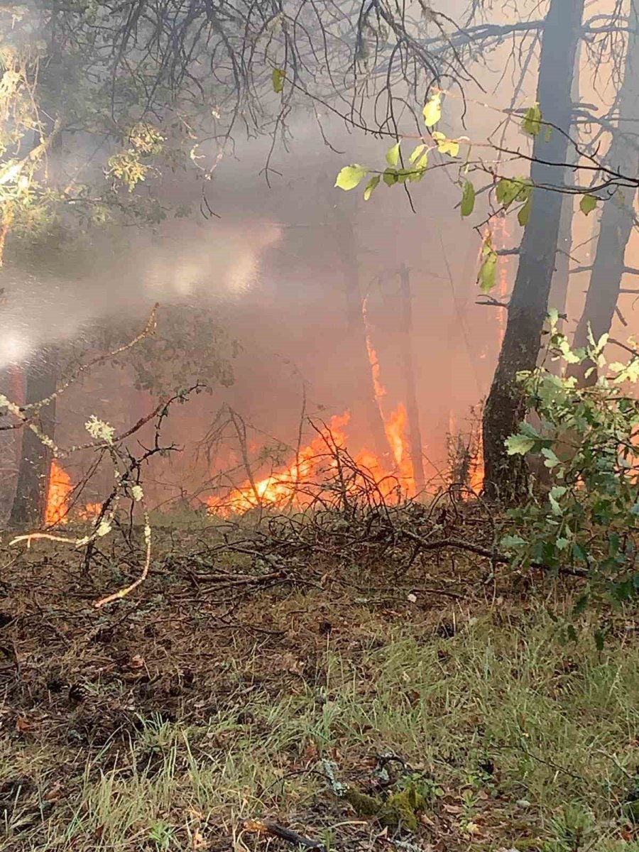 karabukte-orman-yangini