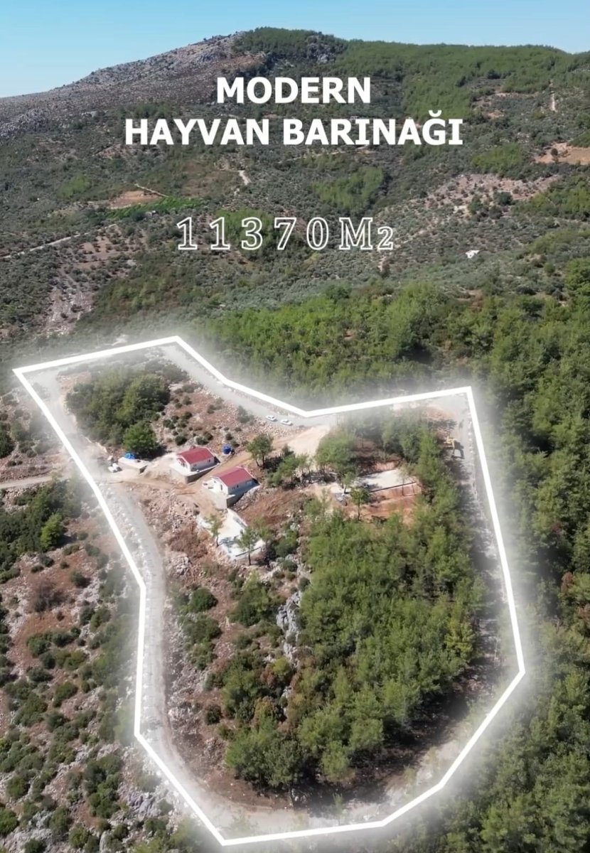 kozan-belediyesi-modern-hayvan-barinagi-projesinde-sona-gelindi
