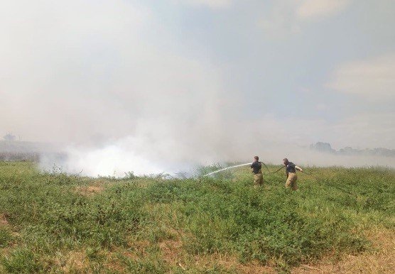 manyas-ve-bandirma-arasinda-sazlik-alanda-yangin-cikti