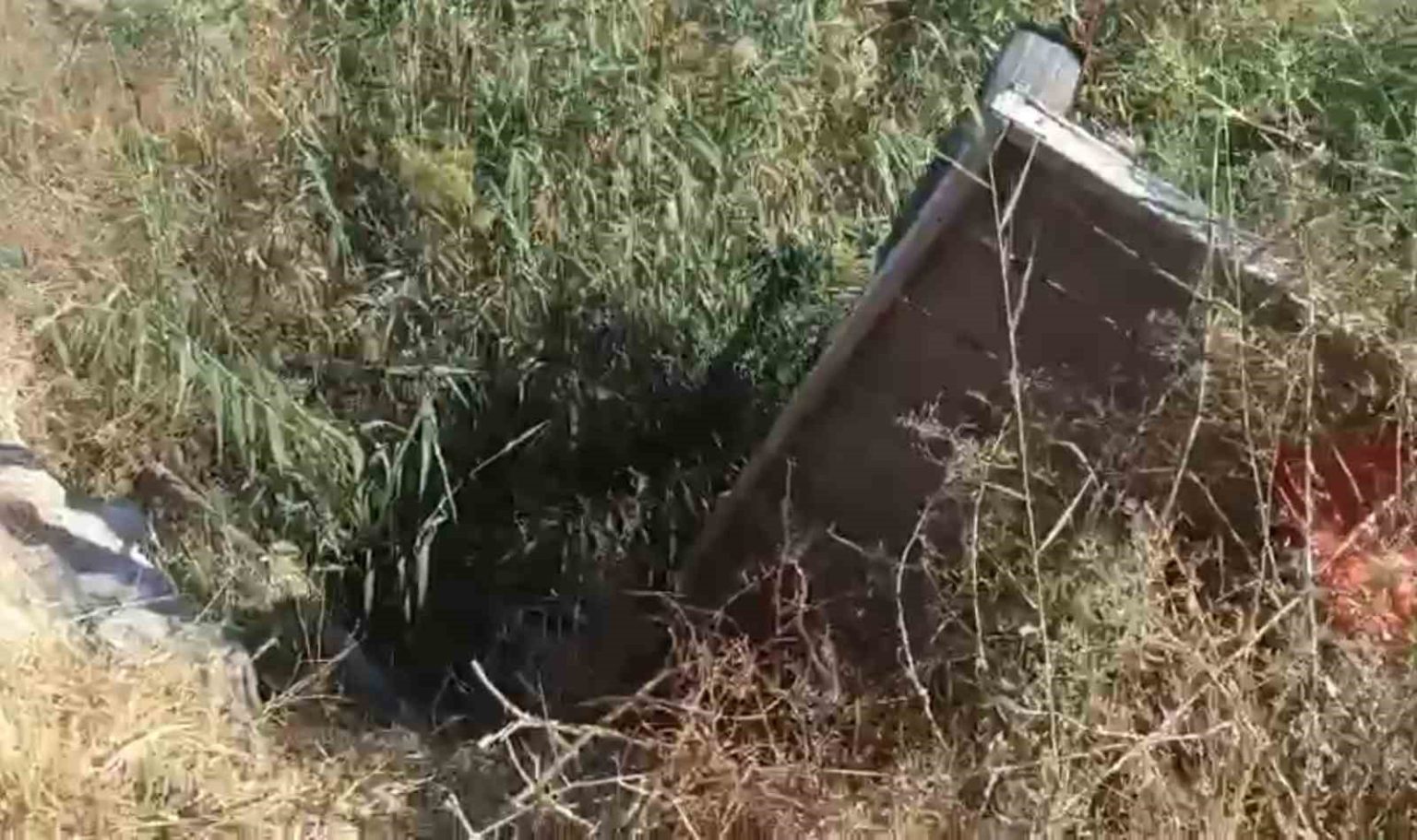 tahliye-kanalina-dusen-at-kurtarildi