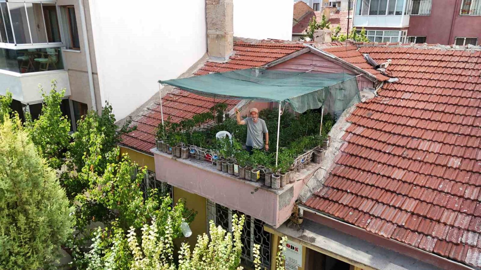 18-metrekarelik-terasini-200-fideyle-bahceye-cevirdi-8-saatini-burada-harciyor